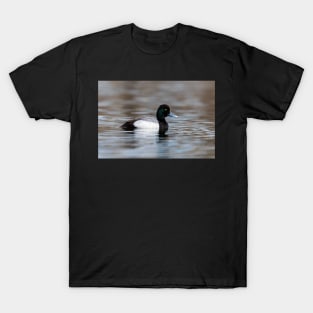 Greater Scaup T-Shirt